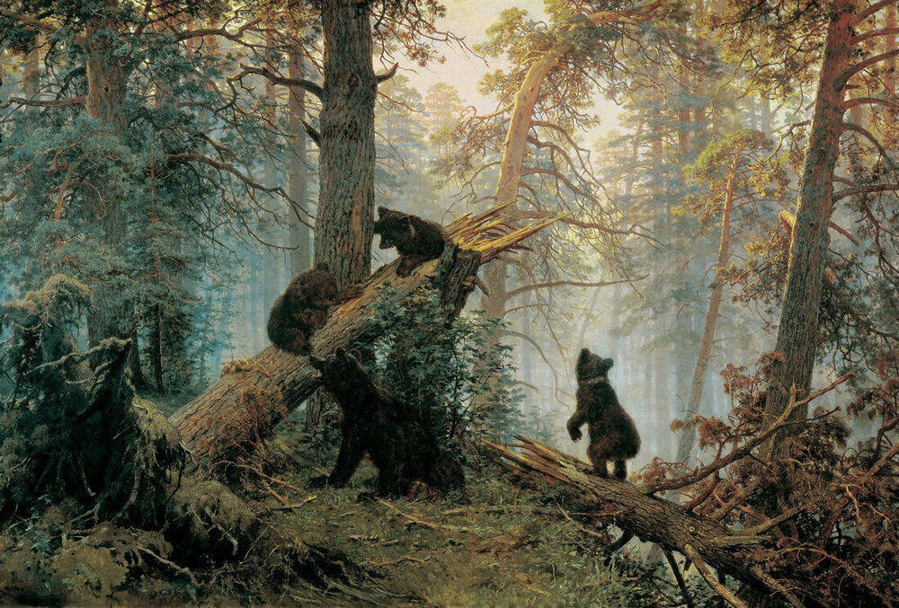 Ivan Shishkin Landscape Forest Bear Poster Giclee Canvas Print Home Decor Wall