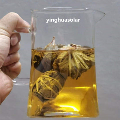 Hainan Mallotus Furetianus Partridge Tea 海南鹧鸪茶 三亚特产茶 下火茶养生茶手工广东凉茶 传统味道清火除湿