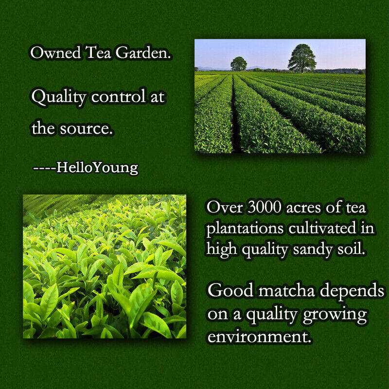 Organic Matcha Green Tea Powder Unsweetened 100% Natural Matcha Green Tea