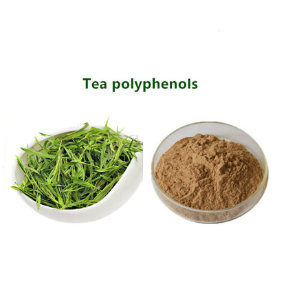 Puer Natural Green Tea Extract 98% Polyphenols 50% EGCG Powder Weight Loss