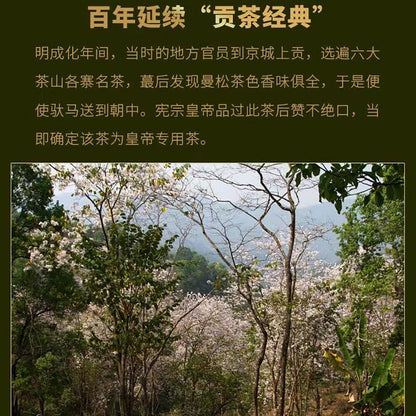 Puerh,2016,盛嘉源,曼松,357g,Raw
