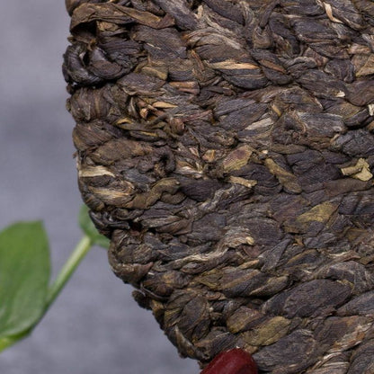 2014 Yong De Big Snow Mountain Bian Zi Pigtails Old Tree Pu'er Tea Cake Raw 400g