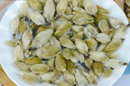 Biond Magnolia Flower Flos Magnoliae Organic Magnolia Biondii Make A Healthy Tea