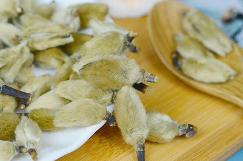Biond Magnolia Flower Flos Magnoliae Organic Magnolia Biondii Make A Healthy Tea