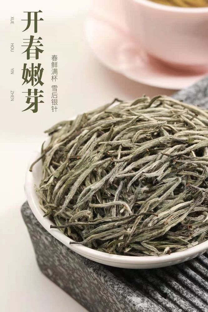 Fuding White Tea Snow Queen Silver Needle 2022福鼎白茶雪后银针茶叶米粒芽 白毫银针罐装50g