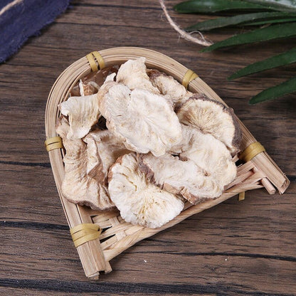 Herbal Cichorii Cichorium Glandulosum Root Radix Cichorium Intybus Great Quality