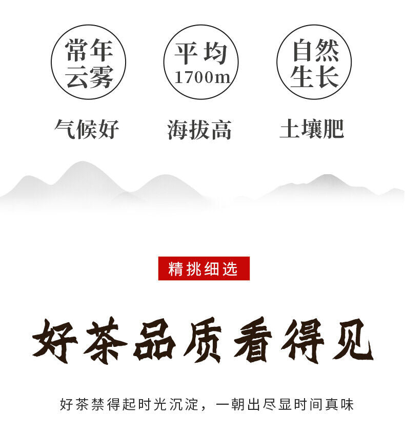 Pu-Erh, Xinghai, Golden Dog Wangcai, 2018y, 357g