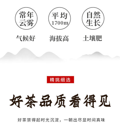 Pu-Erh, Xinghai, Golden Dog Wangcai, 2018y, 357g