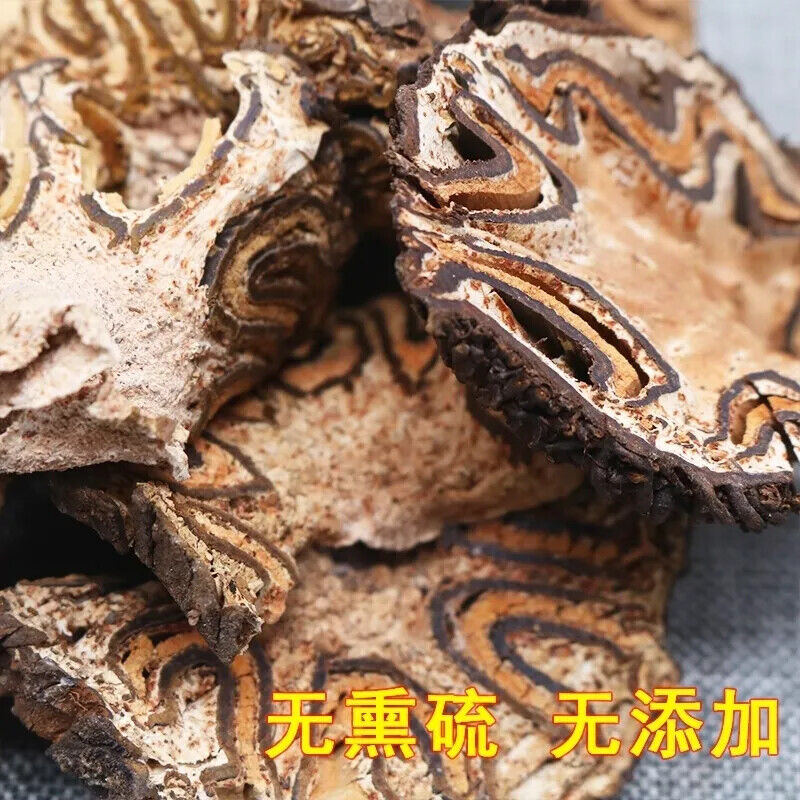 Guangxi Wild LongGuFeng/Chinese herbal 广西野生龙骨风中药材 大贯众 飞天擒罗