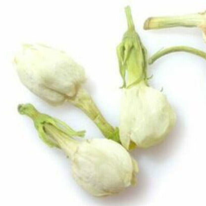 Floral Dried Buds Herbal Natural Fragrance Tea Organic Jasmine Flower HerbalTea