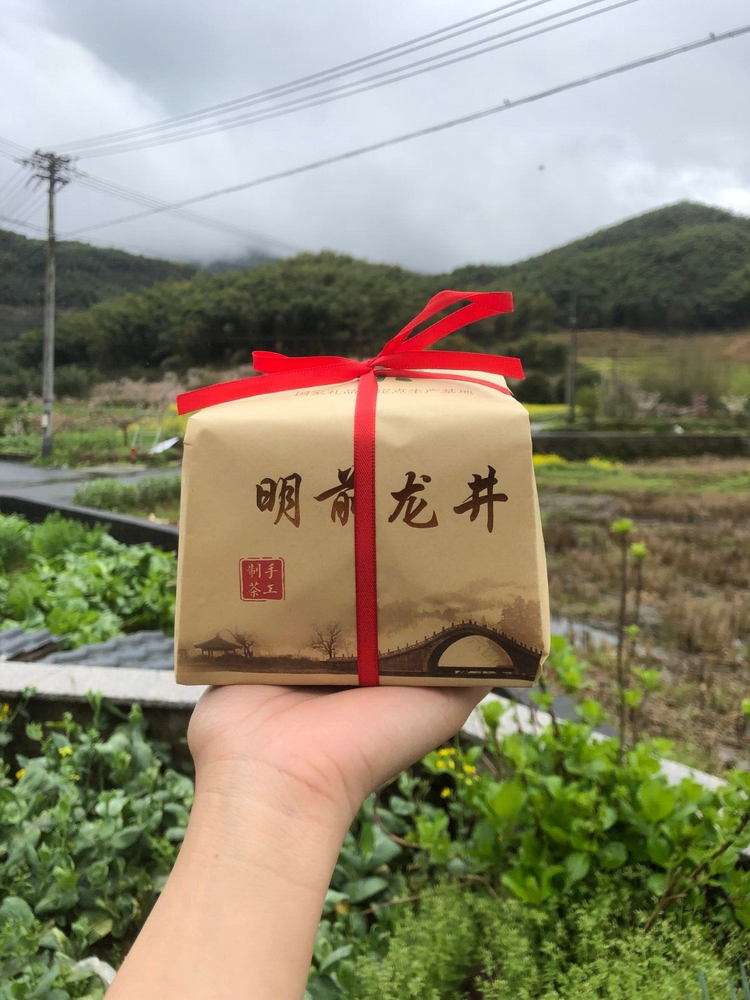 New Tea 2023 West Lake Dragon Well Green Tea QingMing Longjing Cha 500g Grade 1