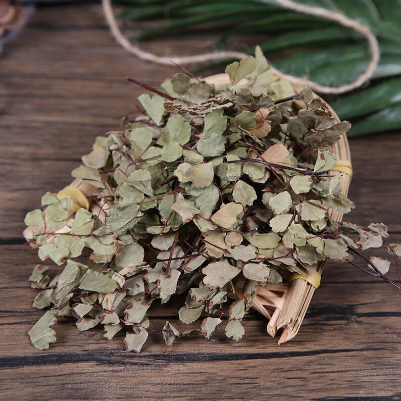 Herbal Adiantum Capillus-veneris Maidenhair Fern Tie Xian Cao Great Quality
