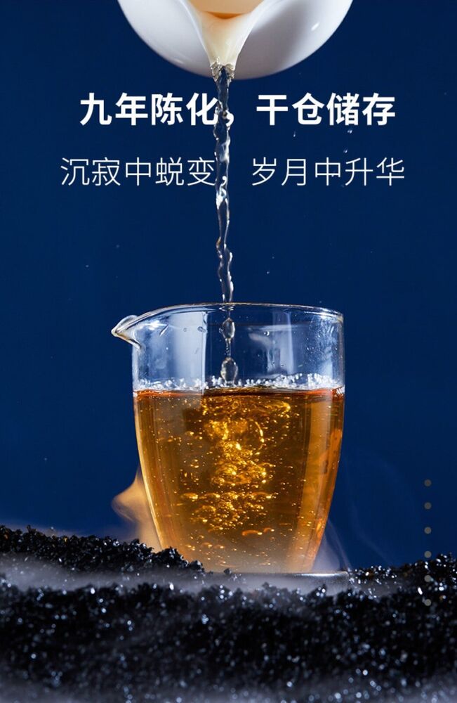 Pu-Erh, Ume Fukumura, Footprint, 2011y, 357g, Raw