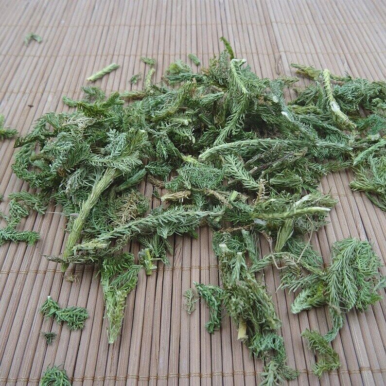 250 GR Shen Jin Cao Common Clubmoss Herb 伸筋草