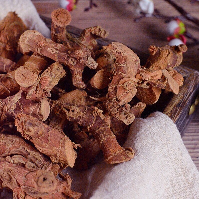 Dried Lesser Galangal Rhizome Great Quality Rhizoma Alpiniae Officinarum