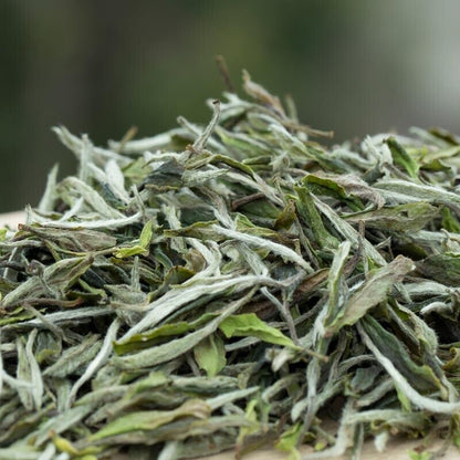 Premium Bai Mu Dan White Peony White Tea Aged Fuding Pai Mu Tan Bai Cha