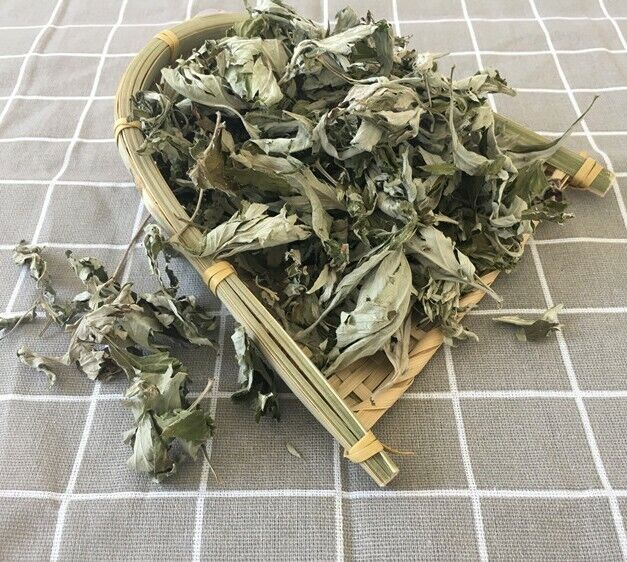 100% Natural Wild Ai Ye Mugwort Leaf Folium Artemisiae Argyi Chinese Herbal Tea