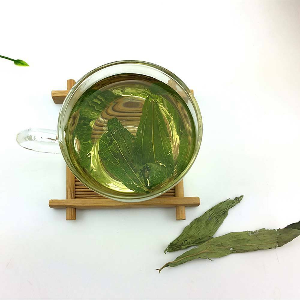 Stevia Leaf Herbal Tea, Good for Weight Loss and Control Blood Pressure
