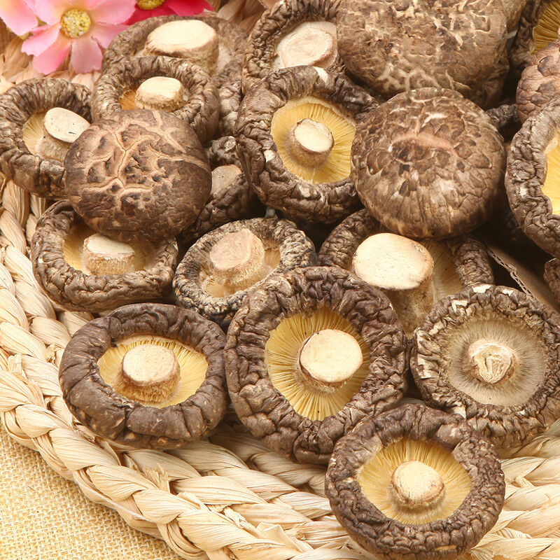 Winter Mushroom Chinese Qing Yuan Dry Shiitake Edible Fungus 500g Kitchen Food