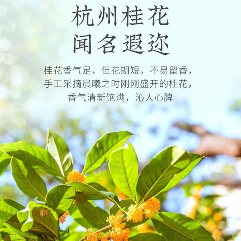 shifengpai guihualongjingcha tea 狮峰牌 龙井 杭州特产 明前桂花龙井 金秋浓香绿茶叶150g纸包