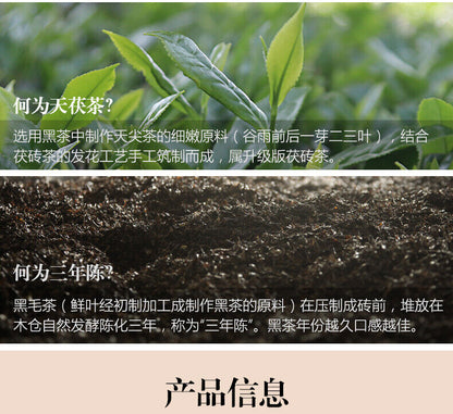 Anhua Dark Tea BaiShaxi 1939 Gold Flower Tea Brick 3 Years Aged Tian Fu Tea 1kg