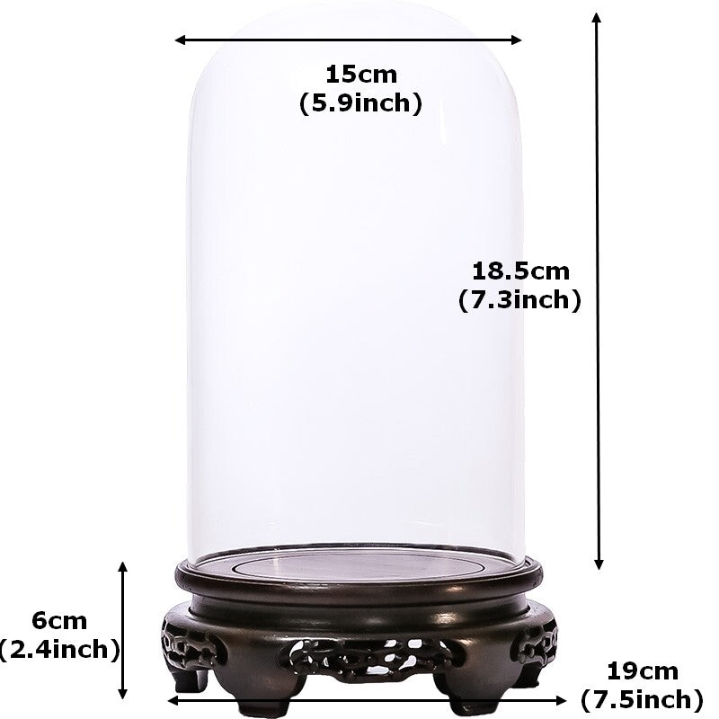New Glass Display Dome Ebony Wood Base Case Cloche Globe Cover Protection Decor