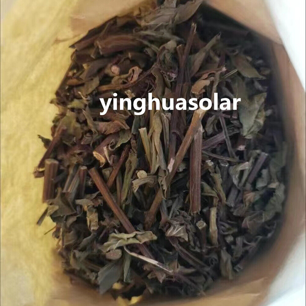 HERBA CLERODENDRANTHI 猫须草前列腺炎增生500g Clerodendranthus Spicatus 野生特级肾茶排肾结石膀胱结石尿道结石