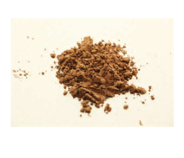500g Chinese Wild Ganoderma Lucidum Tea Powder Reishi Spore Powder Herbal Tea