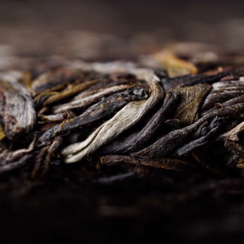 2021 Yunnan Haiwan Old Comrade YiWu Puer Tea Ma Hei Famous Old Tree Pu'erh 500g