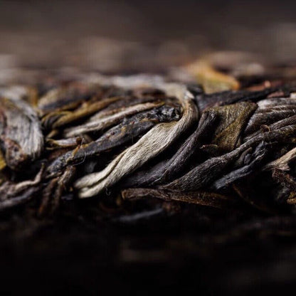 2021 Yunnan Haiwan Old Comrade YiWu Puer Tea Ma Hei Famous Old Tree Pu'erh 500g