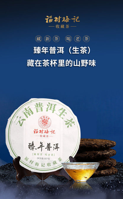 Pu-Erh, Fukumura Meiji, Zhennian Pu 'er, 2021y, 357g, Raw