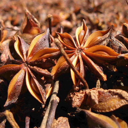 100g~500g China Kitchen Cooking Food Hot Pot Seasoning Spice Star Anise Aniseed