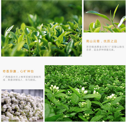 250g Chinese Organic Jasmine Tea Natural Food Green Tea Flower Tea Loose Leaf 茉莉