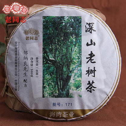 中国茗茶 Top Haiwan Tea High Quality Raw Pu Erh 深山老树茶 Raw Pu Erh Tea 500g