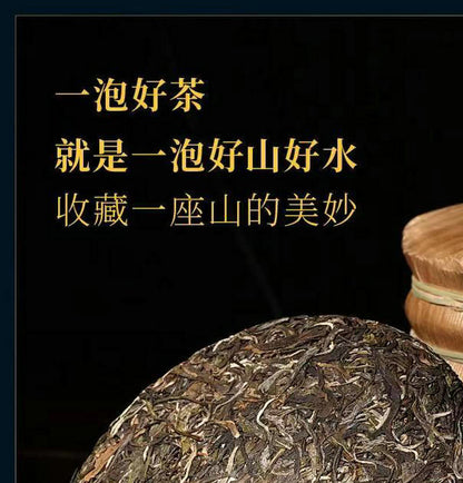 Pu-Erh, Shengjiayuan, Wuliangshan (Ancient Tree Pure Material) Tea District, 2019y, 357g