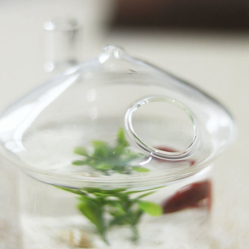 Hanging Glass Vase Mushroom-Shapes Planters Small Rumble Fish Tank 8.5x10x10.5cm