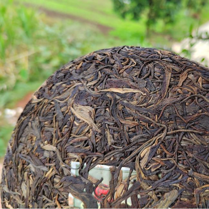 357g 2015 Year Aged Puerh Raw Tea Cake Yunnan Old Pu-erh Shengcha Old Pu'er Tea