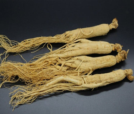 Changbai Mountain Dried white Ginseng Root 6 years Ginseng roots chinese herbal