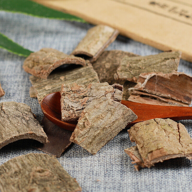 Bark Du Zhong Chinese Herbal Material Eucommia Tea SuperGradeCortex Eucommia-