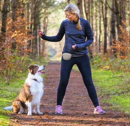 Safe Silicone Dog Treat Bag Pouch For Dog Walks Belt Custom Dog Treat Bags