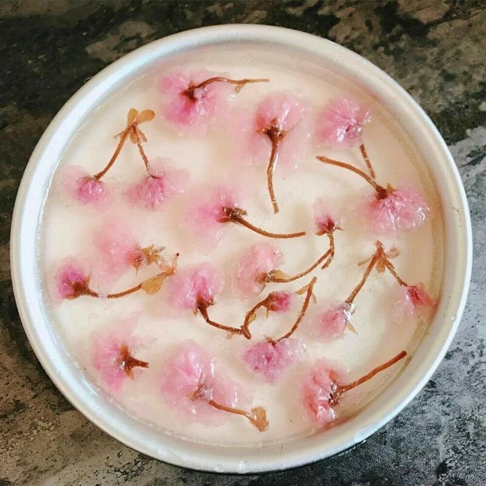 Japanese Salted Sakura Cha Pink Cherry Blossoms Traditional Preserved Flower Tea