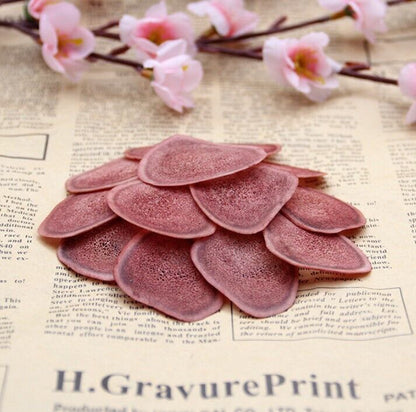 Natural China Blood deer velvet antler slices Exotic Herb For Men Supplement