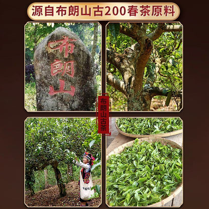 Yunnan Menghai Old Tree Tea Mini Tuo Tea Pu'er Tea Brown Mountain Cooked Tea