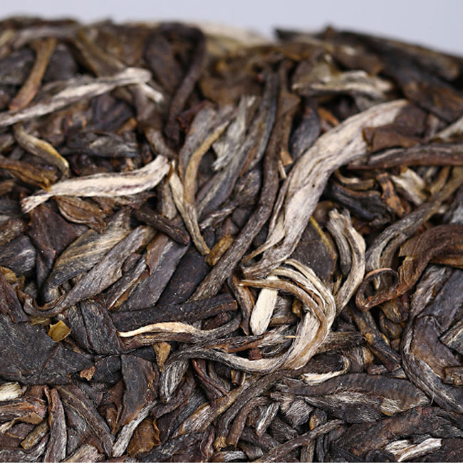 Remote Mountain Ancient Tree 2019 Haiwan Old Comrade Batch 191 Raw Puer Tea 500g
