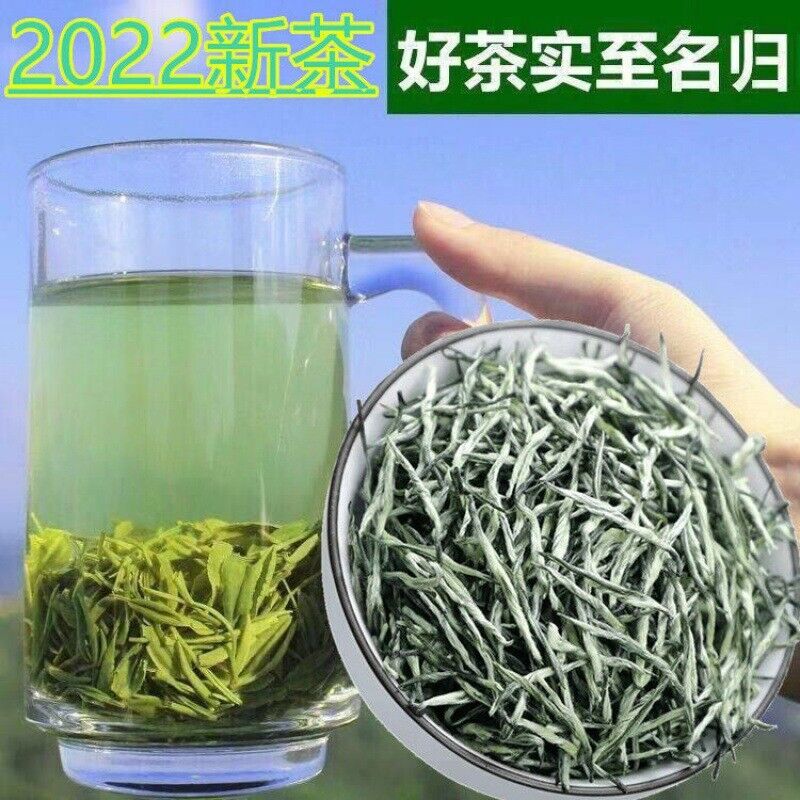 Alpine Mao Jian tea green tea 2022新茶高山毛尖茶 绿茶特浓香型茶叶明前嫩芽茶 250g半斤