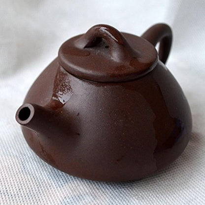 Teapot Chinese Yixing ShiPiao Style Zisha Tea Pots Zini for Loose Tea (4oz)