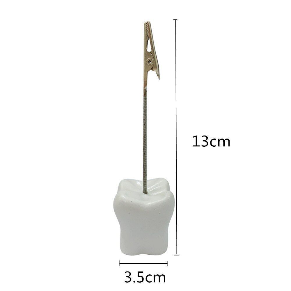 Business Card Holder Tooth Shaped Dental Clinic Desk Decoration Resin 3.5x3x13cm