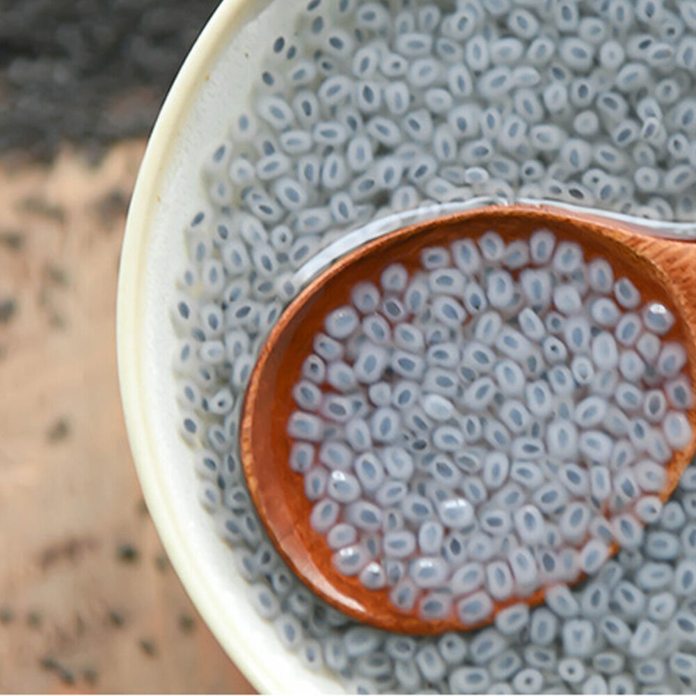 Stomach Strengthening Lose Weight Health Care LAN Xiangzi Basil Seed Fruit Tea-