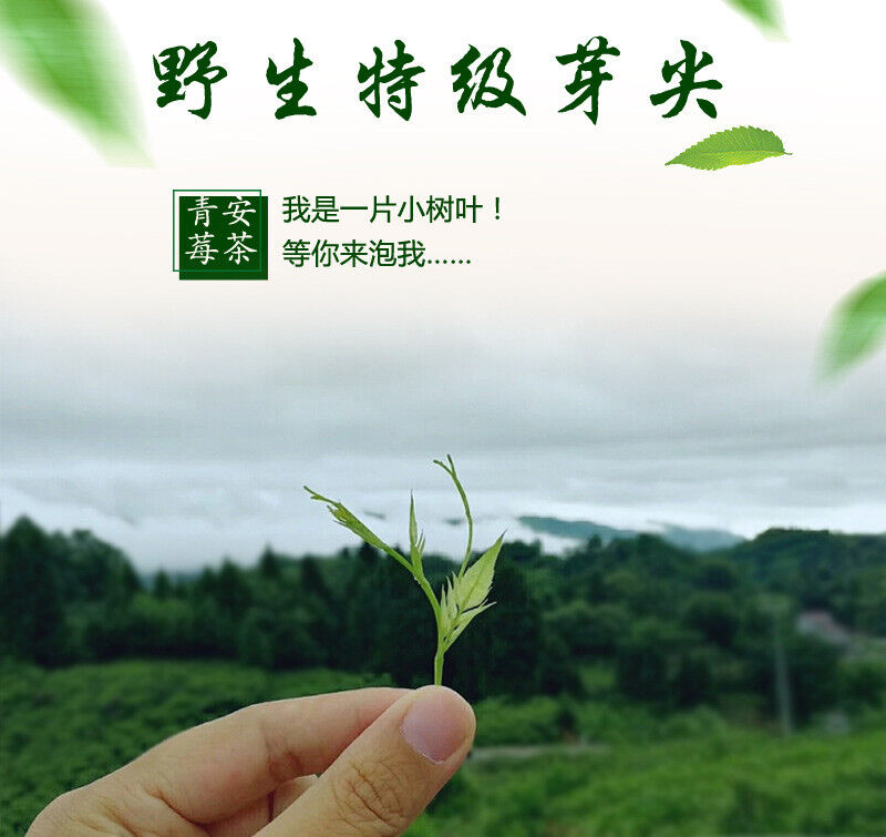 Selected Zhangjiajie Berry Tea 张家界莓茶罐装土家茅岩霉茶芽尖藤茶龙须梅茶嫩芽50g