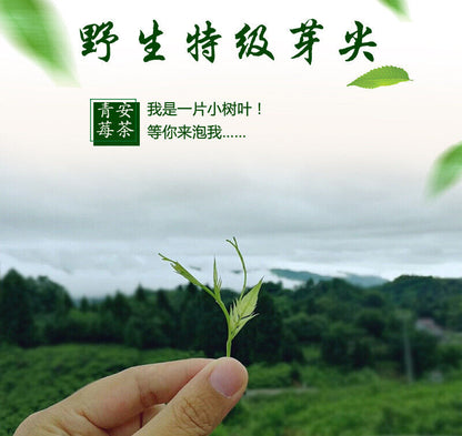 Selected Zhangjiajie Berry Tea 张家界莓茶罐装土家茅岩霉茶芽尖藤茶龙须梅茶嫩芽50g